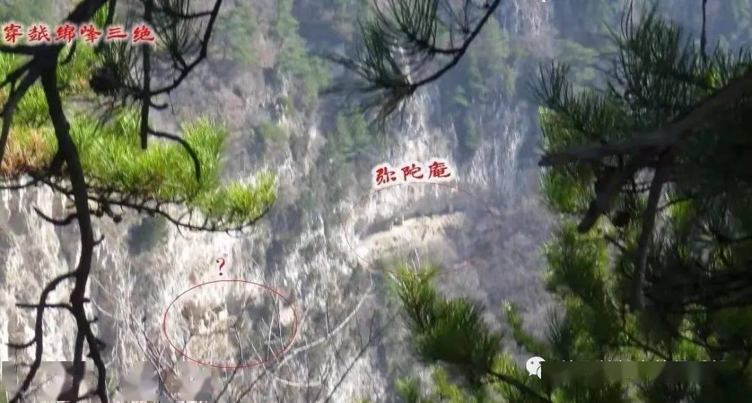 聊城：建立企业梯度培育库，持续健全梯度培育机制