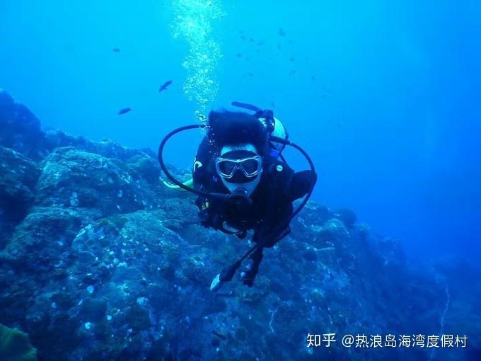 拯救毛茸茸男人